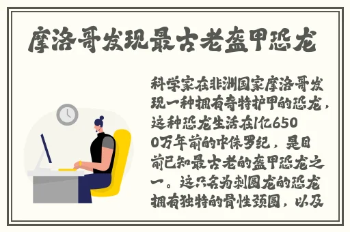 国产精品麻豆va在线播放